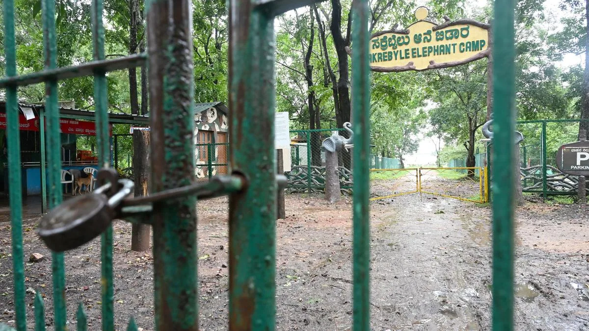 Sakrebailu Elephant Camp to open for visitors on September 26