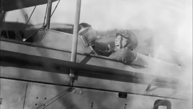 Amelia Earhart: Destroços de avião eram, afinal, "um conjunto de árvores"