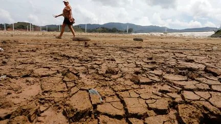 Le phénomène "El Niño prend sous nos yeux une ampleur exceptionnelle", faisant craindre des catastrophes climatiques extrêmes, alerte l'ONU