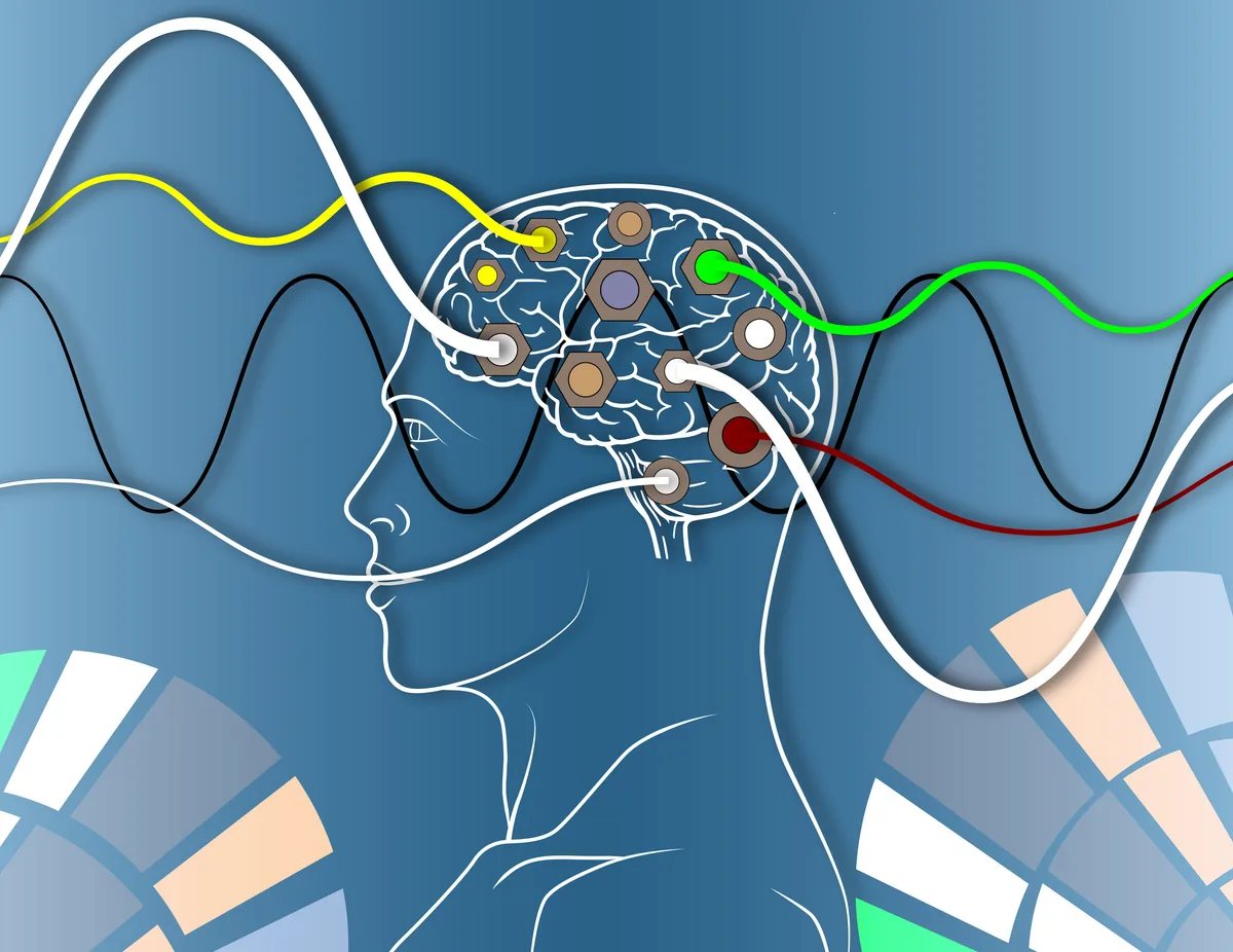 Neurowellness is all the rage - for better and for worse