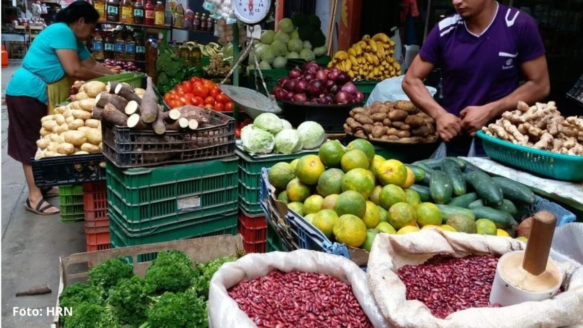 Canasta básica llega a US$627 en Honduras y supera en más de US$100 el salario mínimo promedio