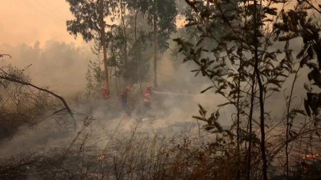 Adolescente identificado por ter ateado dois incêndios em Seia
