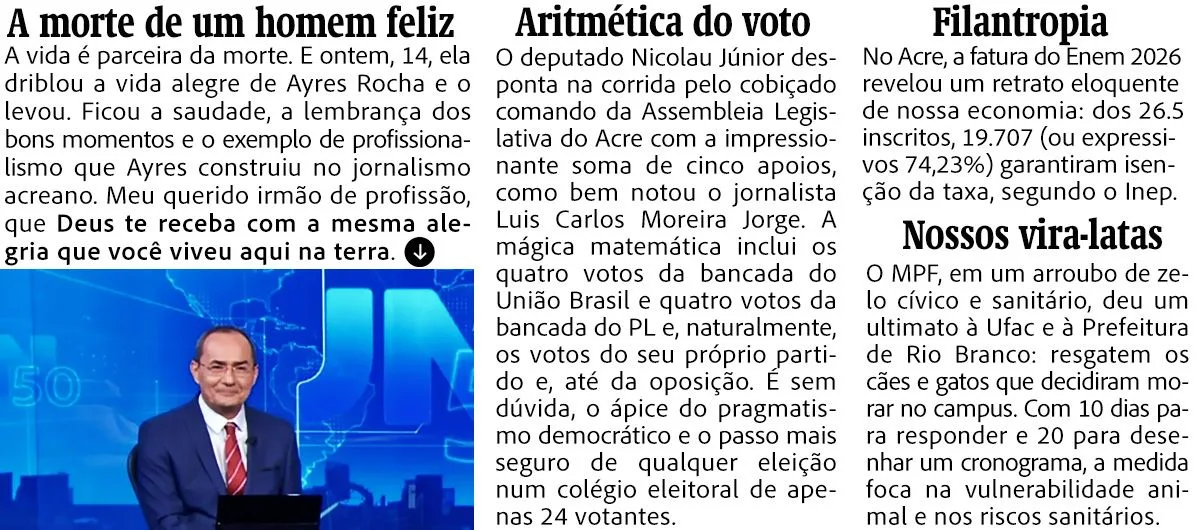 Órfãos