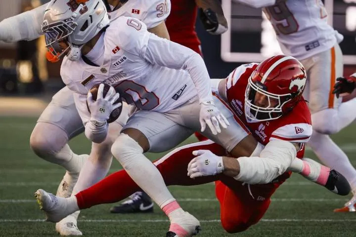 Stampeders stay in playoff hunt, beat Lions 32-13