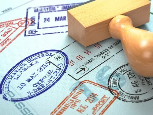 Home Affairs visa backlog plan welcomed, but reforms urged