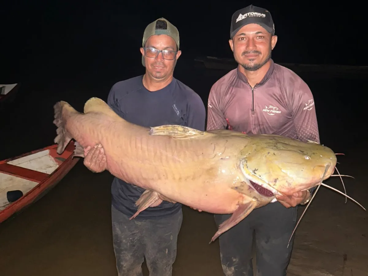 VÍDEO: Pescadores capturam jaú de 60 kg e mais de 1 metro em rio no interior do Acre