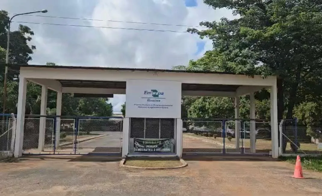 Embrapa Roraima abre inscrições para capacitação em cultura de tecidos vegetais
