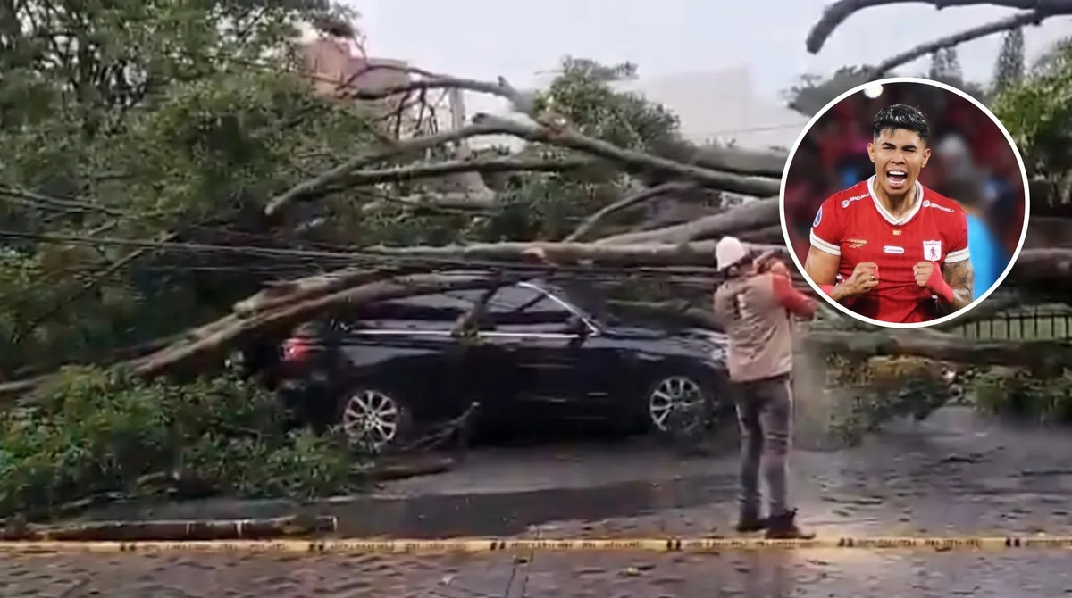El impactante accidente que sufrió un ex jugador de San Lorenzo: se le cayó un árbol arriba del auto y tuvo un traumatismo