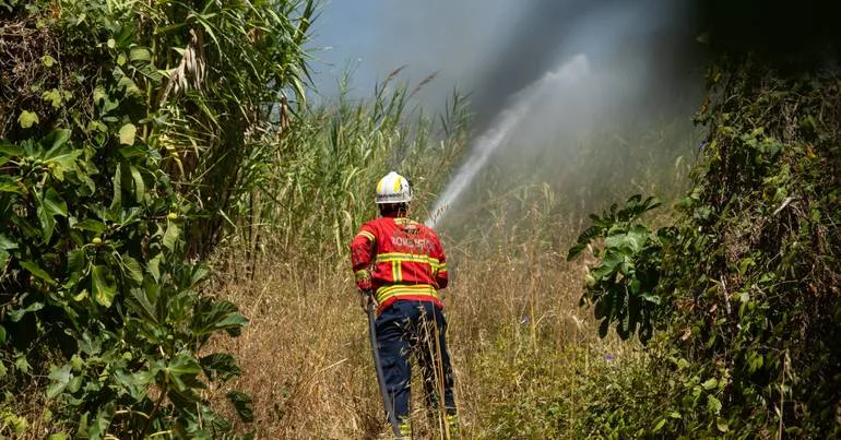Prisão preventiva para suspeito de fogo florestal no Sabugal