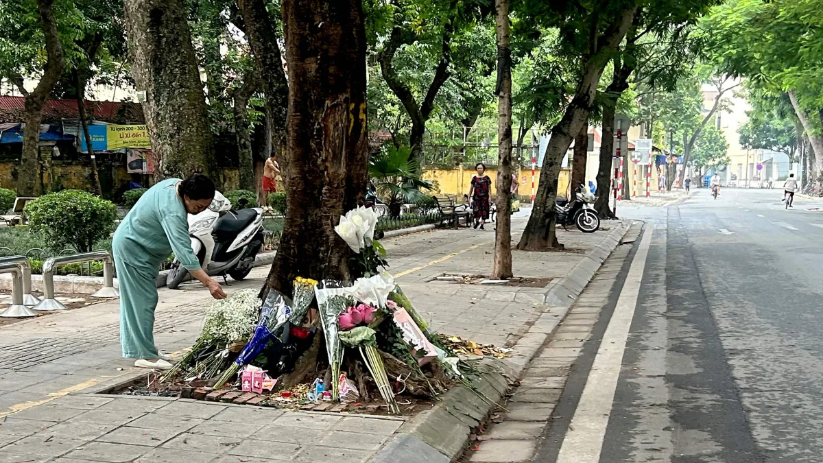 Protest in Vietnam: Aus Baum Nummer 55 wurde der „Baum der Gerechtigkeit“