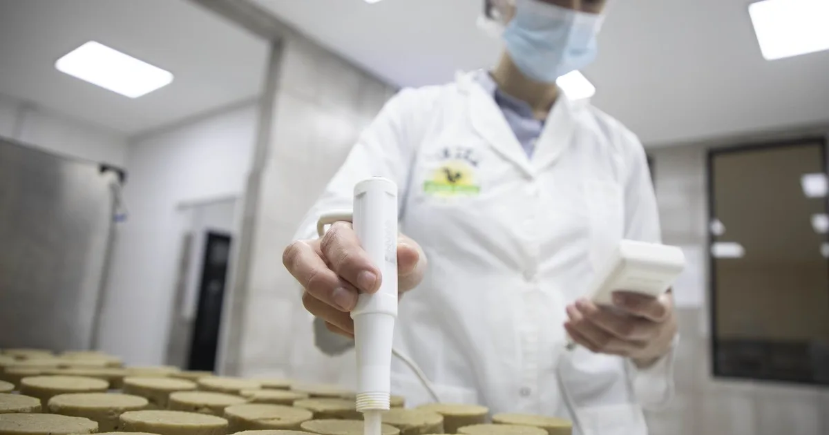 Los alimentos vuelven a la geopolítica: la oportunidad argentina