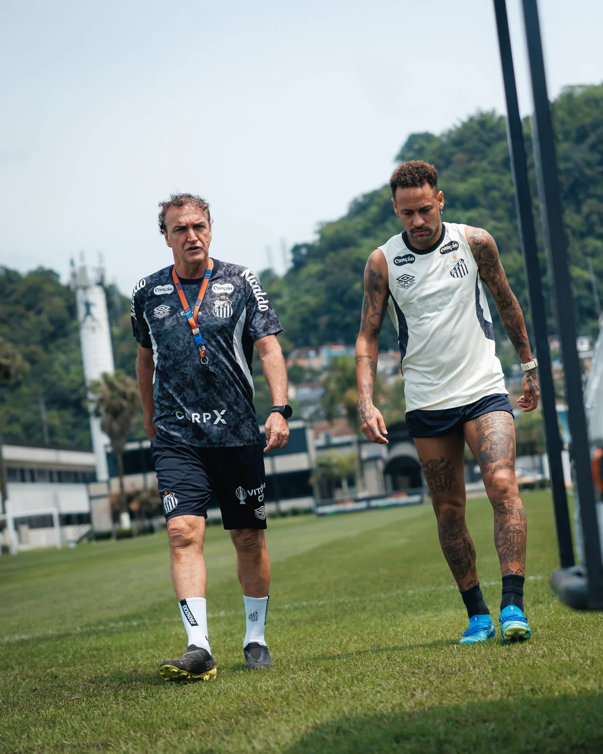 Projeto Libertadores: o que o Santos precisa fazer (e torcer) para voltar ao torneio em 2027