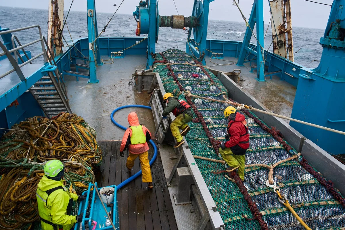 Fishing company behind McDonald’s Filet-o-Fish devastates Alaska salmon and Native communities