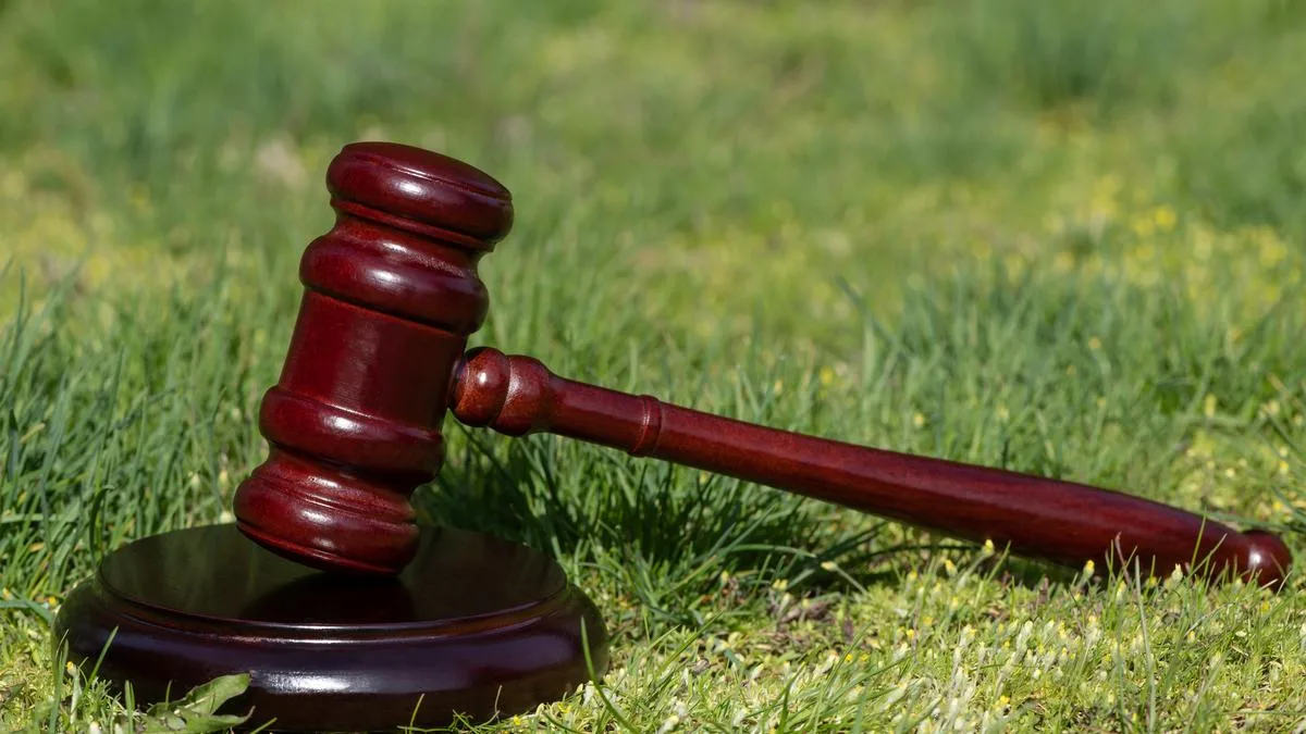 The Vanashakti verdict is balanced and pragmatic