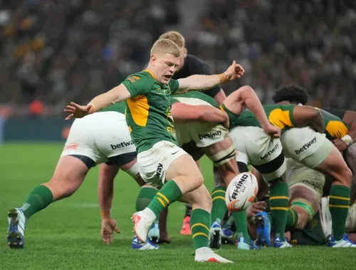Morné van den Berg makes strong case for more Springbok starts at No 9