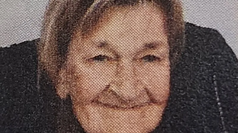 Search for missing woman with dementia in north-west Sydney