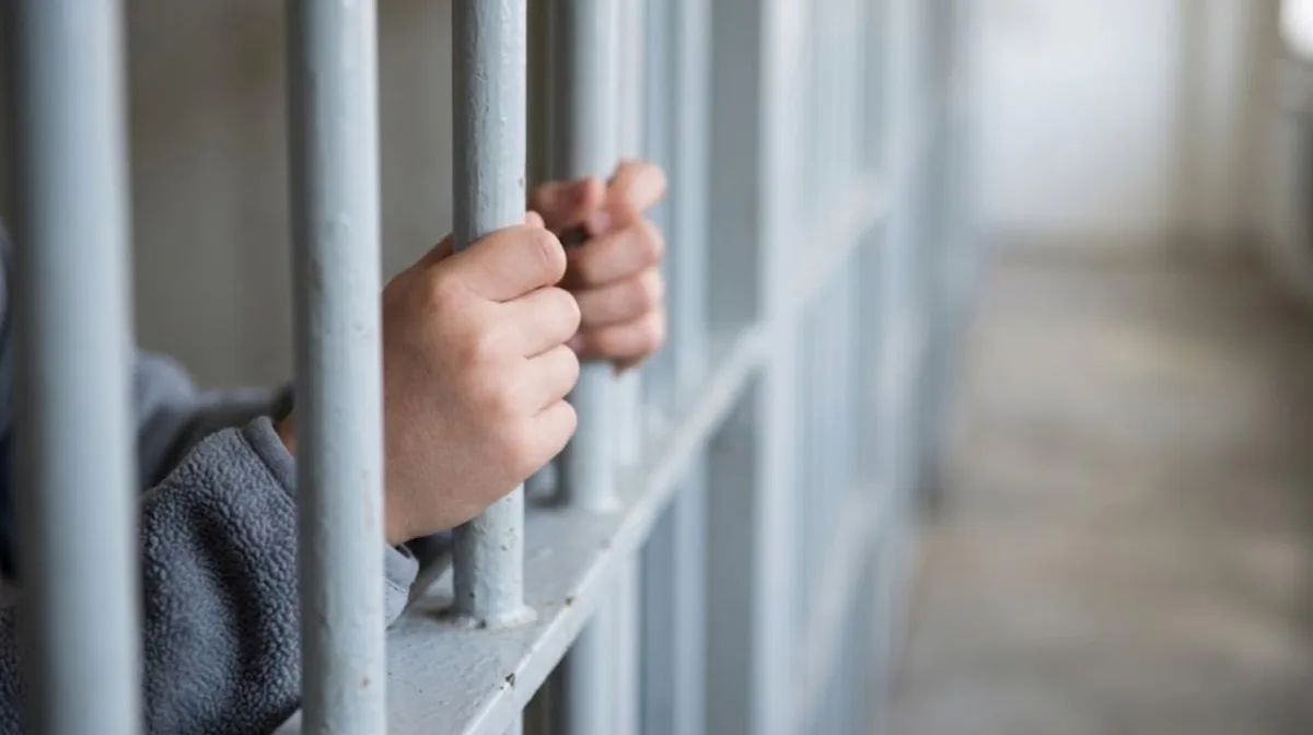 Una jueza porteña declaró inconstitucional la baja de la edad de imputabilidad y sobreseyó a un menor de 14 años