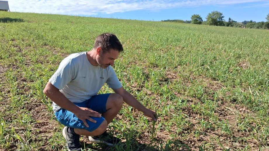"On fait des essais" : de nouvelles cultures envisagées pour faire face au changement climatique en Isère