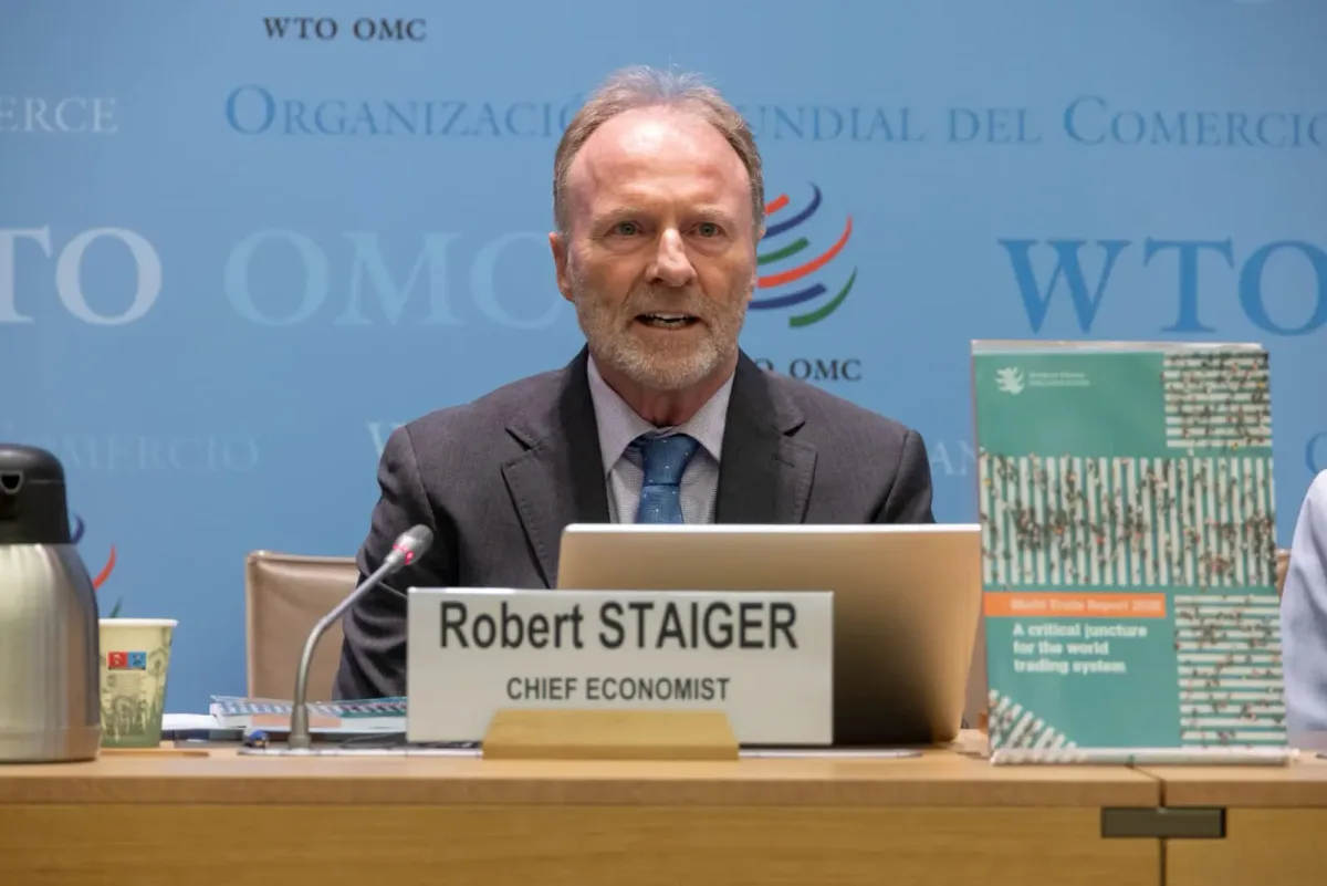 WTO caught between flexibility and predictability, says chief economist