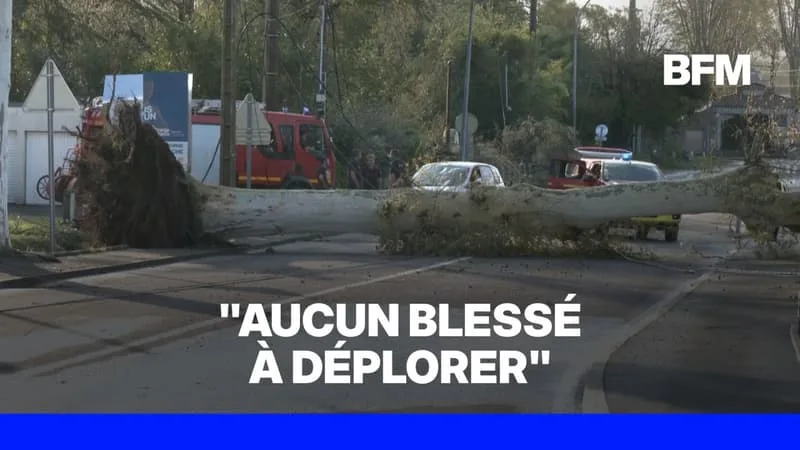 18 départements en vigilance orange et de lourds dégâts dans les Landes... Le point complet sur les orages