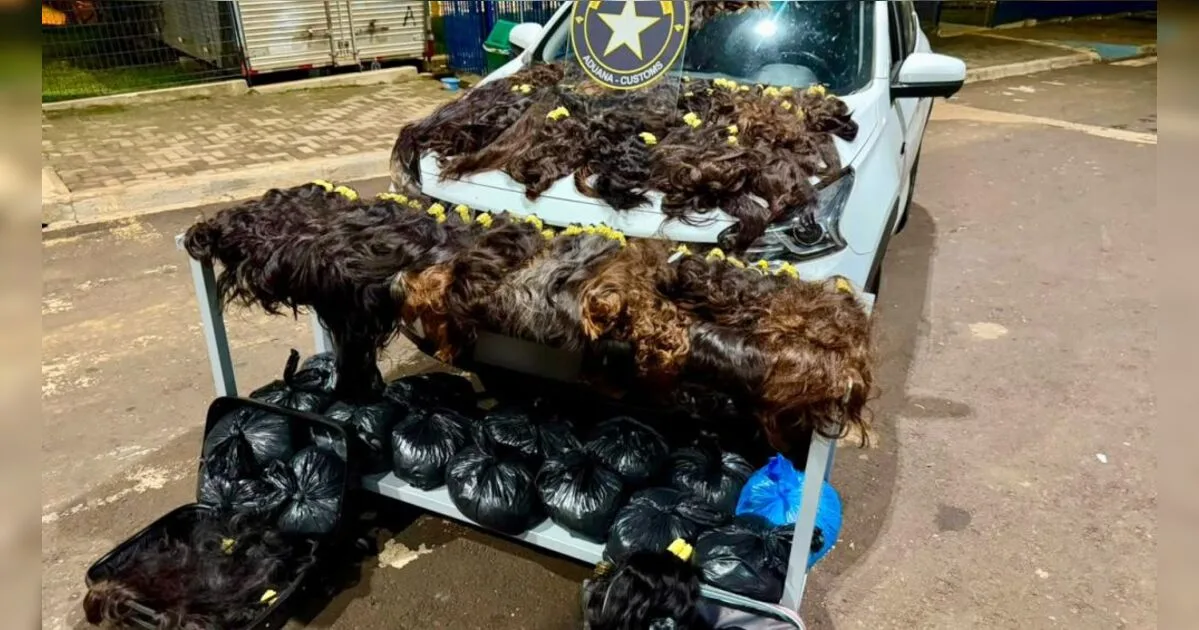 Receita Federal apreende veículo com 146 kg de cabelo humano no Paraná