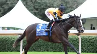 Counting Stars busca su tercera victoria de Grado 1 consecutiva ante cinco rivales