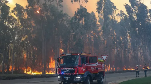 Santo Tirso: Incêndio mantém 2 frentes ativas e mobiliza 224 operacionais