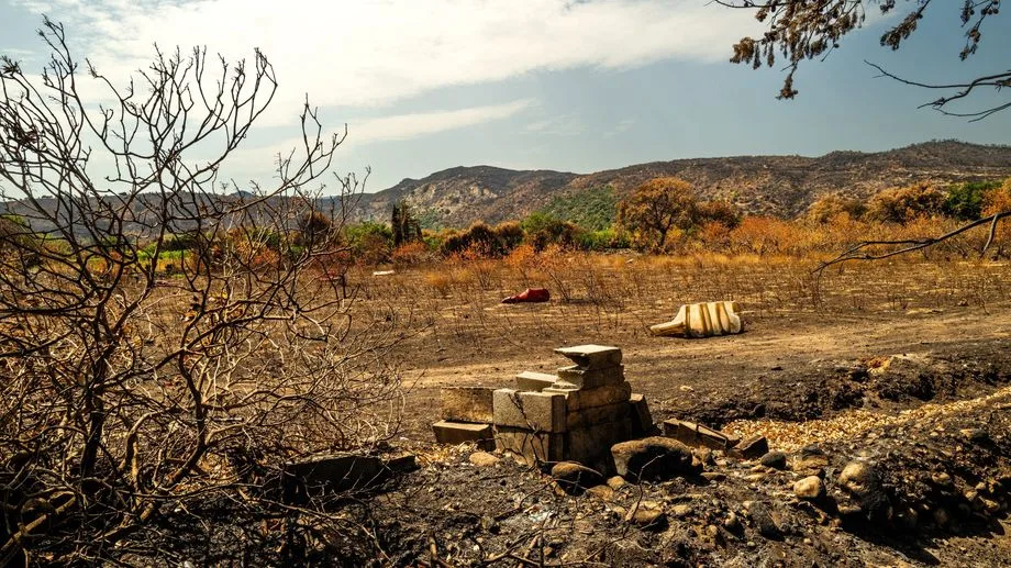 Pas de chasse au petit gibier cette année dans les zones incendiées dans les Pyrénées-Orientales