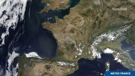 Dans la moitié nord de la France, des paysages desséchés par un été historique