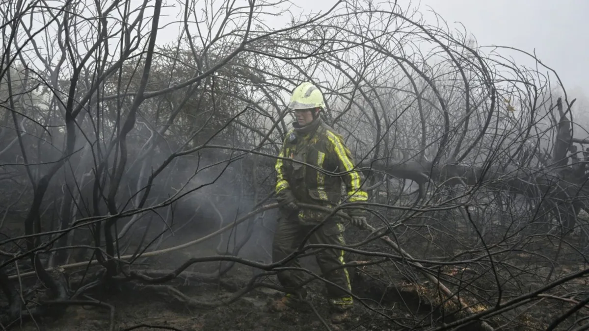 Waldbrand im belgischen Hohen Venn eingegrenzt - Lage bleibt aber „kompliziert“