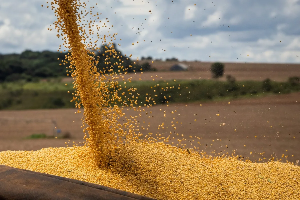 Rastreabilidade da soja e da carne esbarra na falta de integração