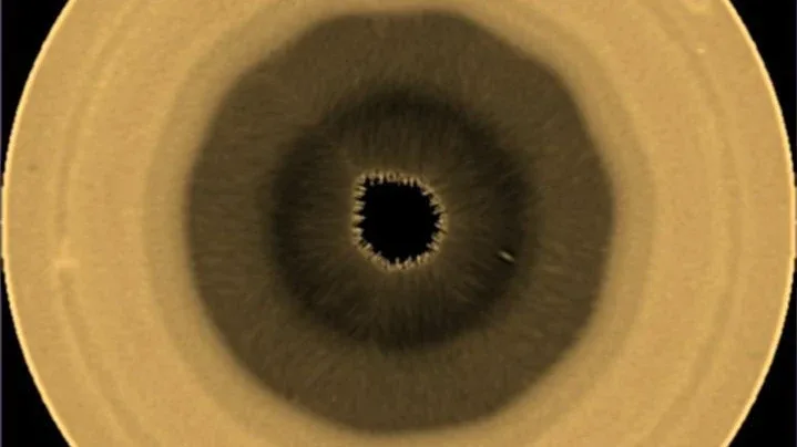 Geometrischer Gasplanet: Ein Zehneck auf dem Saturn