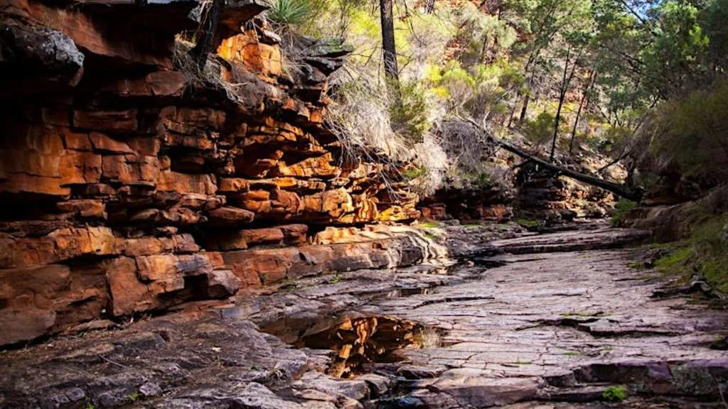 Mount Remarkable, South Australia: Female hiker missing, desperate search underway
