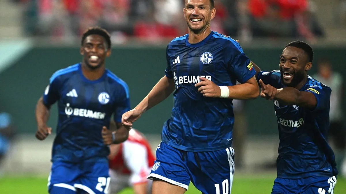 Sieg bei Viertligist Halle: Doppelter Dzeko: Schalke müht sich im Pokal weiter