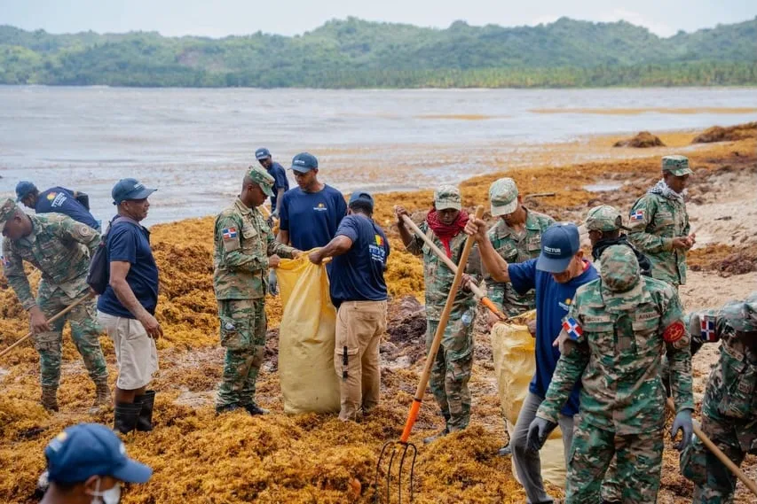 República Dominicana: Despliegan operativo de limpieza en Playa Rincón por llegada masiva de sargazo