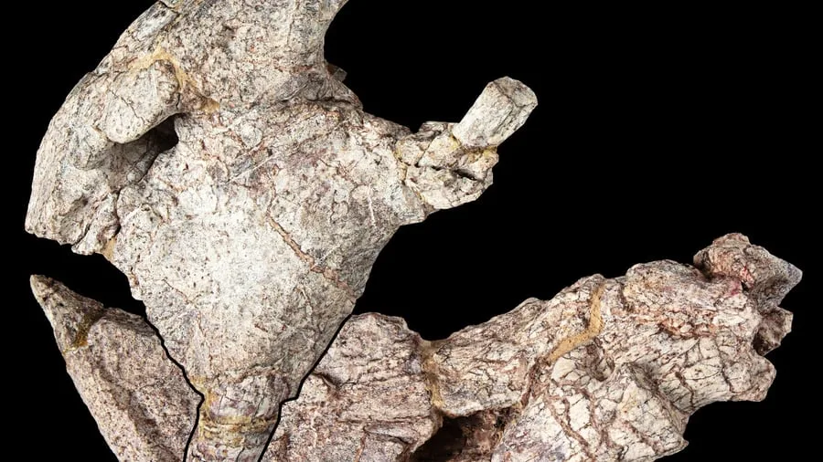 Frühe Urzeit-Echsen: Neuer Dinosaurier aus Tansania beschrieben