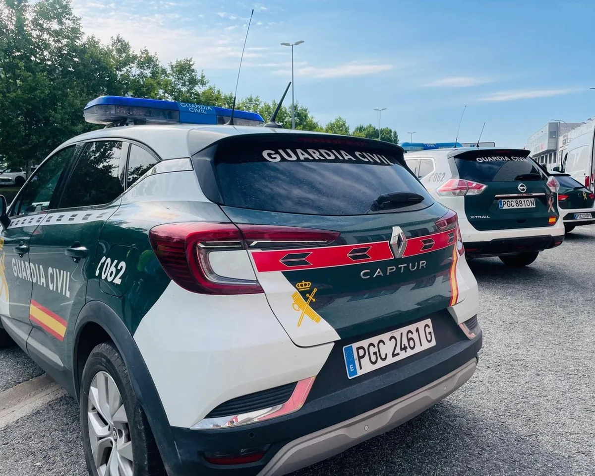 Detenido en Vall d'Alba un hombre acusado de robar y causar la muerte de más de 100 aves