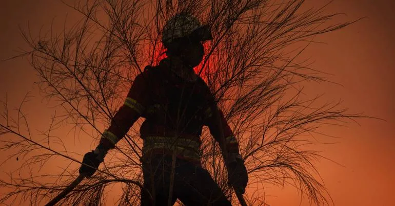 Mais de 50 concelhos em perigo máximo de incêndio