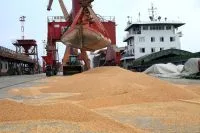 Importação chinesa de soja dos EUA recua 12% em agosto
