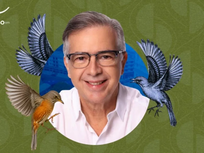 Joaquim Passarinho é destaque na avaliação do júri técnico