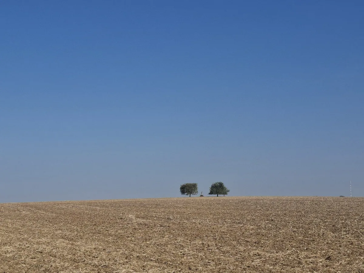 « Dans la crise climatique, il nous faut passer de la transition à la transfiguration »