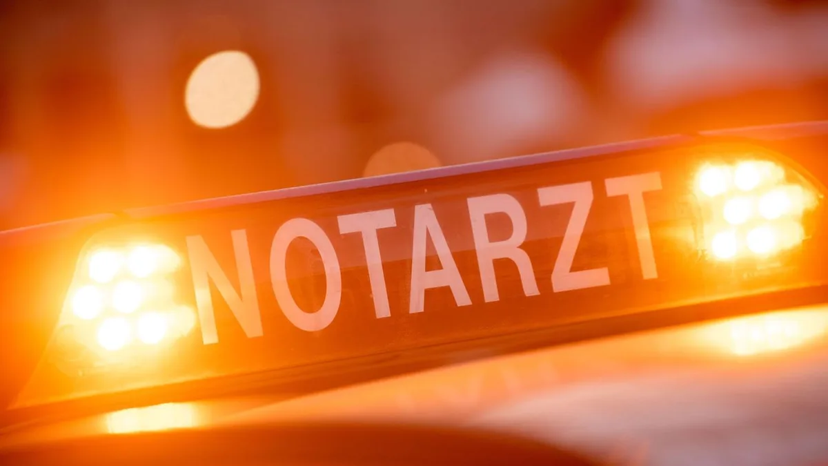 Unglück bei Forstarbeiten: Kind wird bei Forstarbeiten von Baum getroffen und stirbt