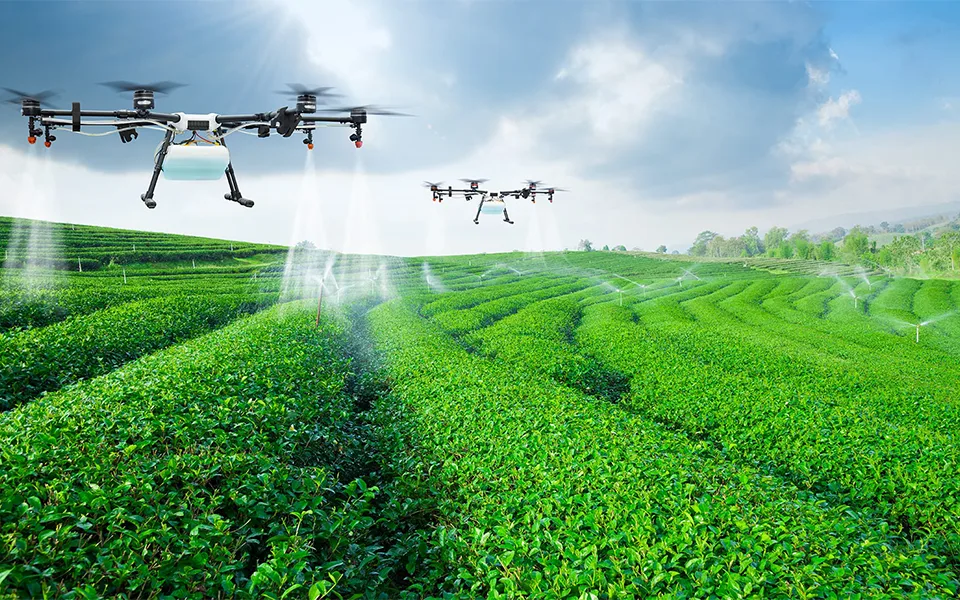 Agricultores exigem 140 milhões ao Governo para recuperar competitividade