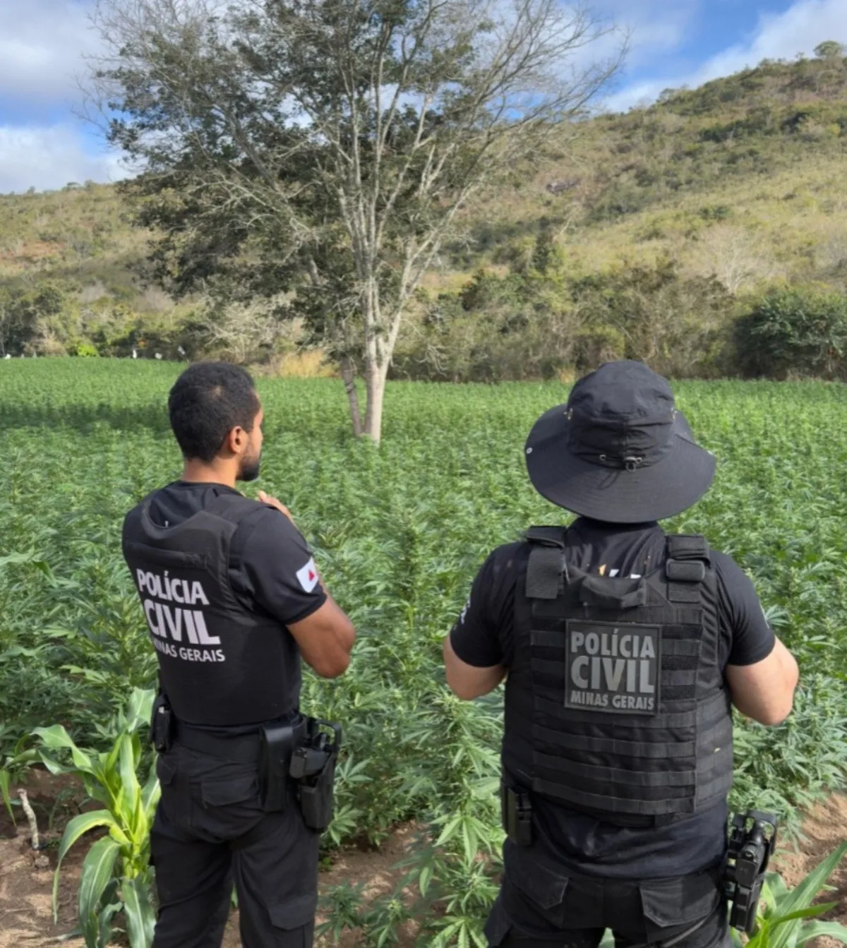 Alerta de tempestade, morte de criança atingida por muro e mulher atropelada por esposa de prefeito; veja as mais lidas