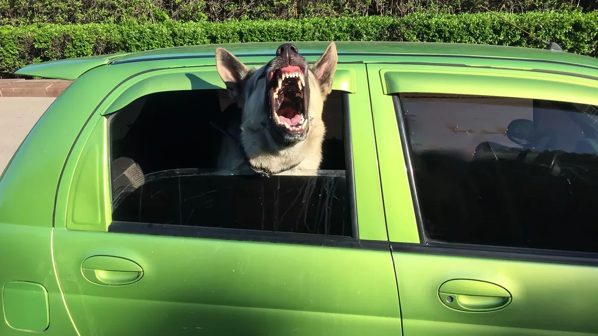 Aggression im Verkehr: Alle ein bisschen abregen, bitte!