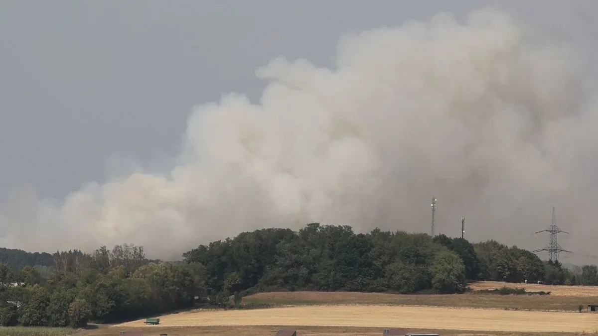 Feuerwehreinsatz: Waldbrand im Saarland gelöscht