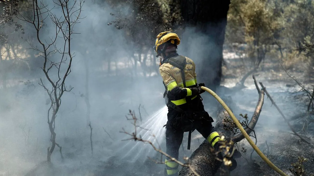 Extremwetter in Spanien: Evakuierungen in Spanien wegen Waldbrands und Überschwemmungen