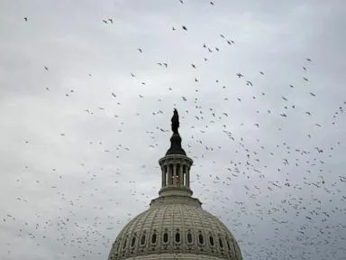 House passes funding bill, avoiding shutdown ahead of midterm elections