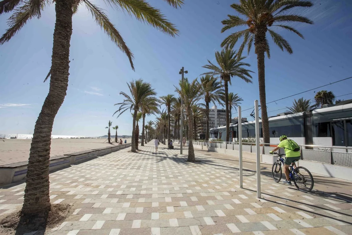 Libertad con medidas cautelares para el joven detenido por agredir a otro que falleció en Playa de San Juan de Alicante