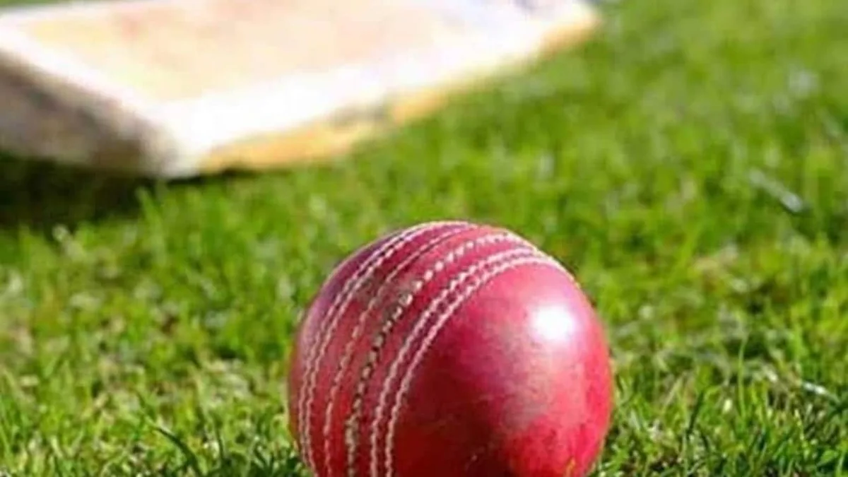 Italy Strengthen Men's Cricket World Cup 2027 Hopes, Reach Qualifier Play-Off